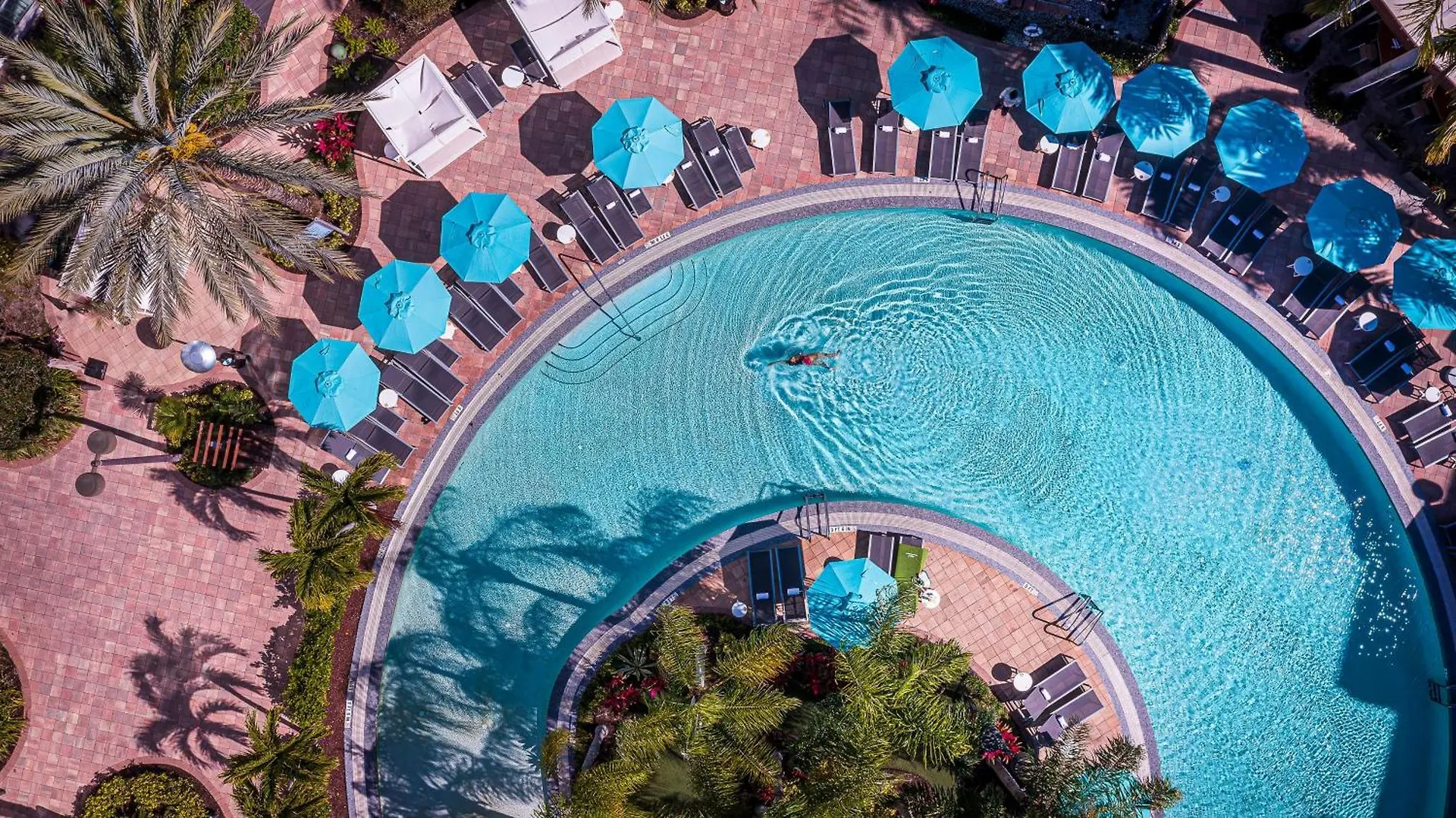 5 Hôtels Famille Incontournables près du Chocolate Museum Orlando